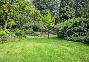 Optimiser l'expérience du jardin à Cambronne-les-Ribecourt
